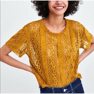 ZARA Trafaluc Lace Velvet Crop Top Mustard Gold Yellow Womens NWOT